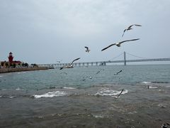 -星海广场