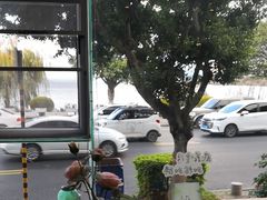 -野菌皇海景野生菌火锅(滨海大道店)