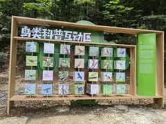 -上海佘山国家森林公园天马山园