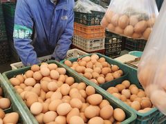 -重振华中蔬菜批发市场(重庆中路店)