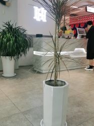 点击看大图 -禾曼造型