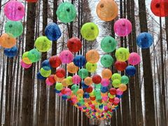 -黄海国家森林公园