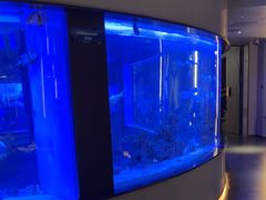 -上和臻品中国菜(花园街店)