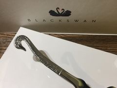 -BLACKSWAN黑天鹅(环球店)