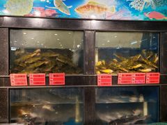水产区-白洋淀灶台鱼(名佳花园店)