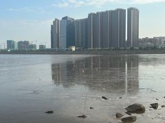 -观澳平台
