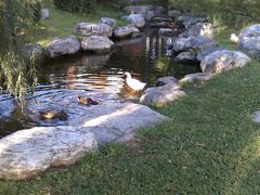 IMAG0447-北京市海淀外国语实验学校