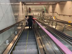 -大龙山(地铁站)