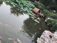 -鹅湖玫瑰文化园
