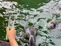 -华夏文旅海洋公园