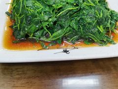 -观桥阁(锦溪店)