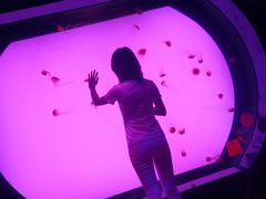 -沈阳海洋探索中心