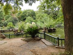 -东湖落雁景区