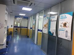 -美联众合动物医院(·中兽医·疑难杂症·严家桥分院)