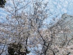 -中国银行(上海市新闸路支行)