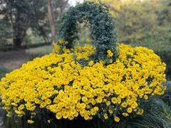 -杭州植物园