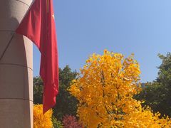 -西北轻工批发市场