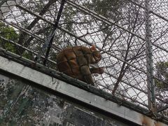 -北京鹿世界主题园