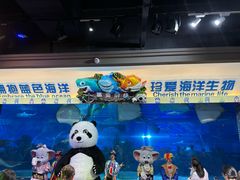 -成都浩海立方海洋公园