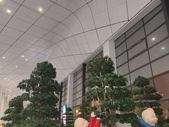 -郑州新郑国际机场-T2航站楼
