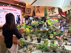 -瑞虹新天地月亮湾