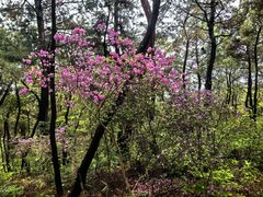 -大榭国际大酒店