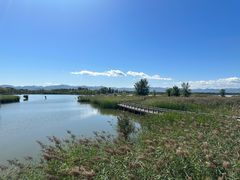 -野鸭湖国家湿地公园