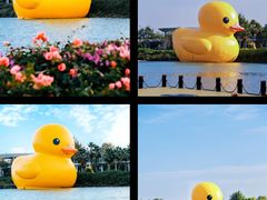 -深圳人才公园