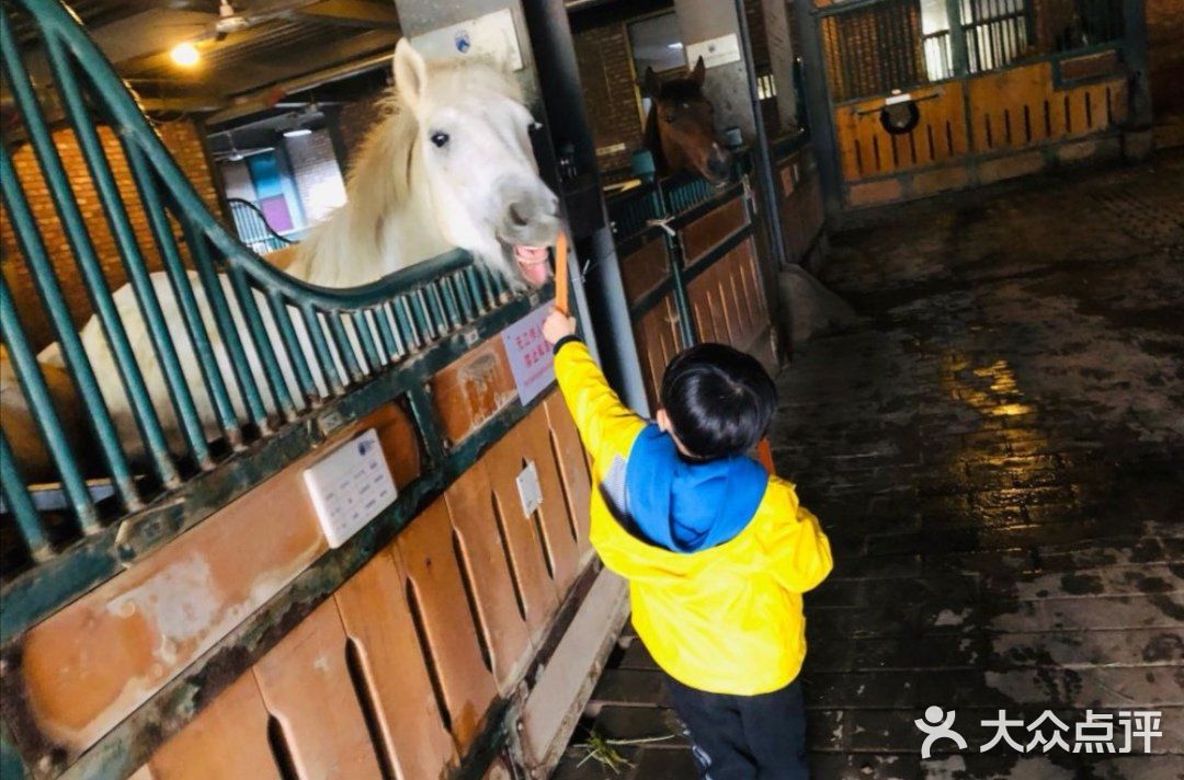带娃骑马-骑域国际马术🏇🏻俱乐部