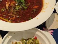 -院8里·少城记忆老川菜(宽窄巷子店)