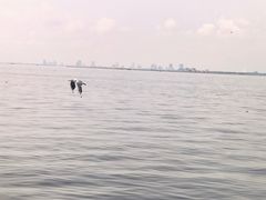 -南戴河旅游度假区