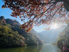 -秦岭终南山世界地质公园翠华山景区