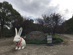 -上海海湾国家森林公园