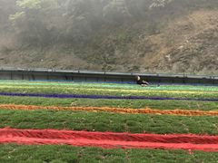 -梦幻奥陶纪景区