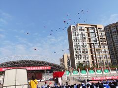 -德阳五中
