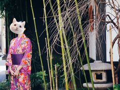 -江户樱花旅馆