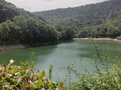 -桃花岭景区