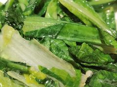 油麦菜-树厨贵州菜(大十字店)