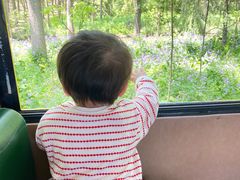 -合肥滨湖国家森林公园