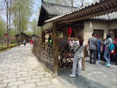 -合肥滨湖国家森林公园