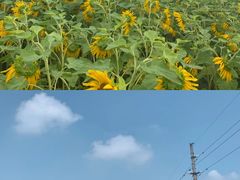 -华海酒店(茂名高铁站店)