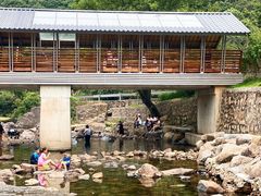 -北仑森林植物园