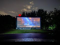 -枫花园汽车电影院(朝阳公园店)
