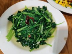 -翕庐小苑