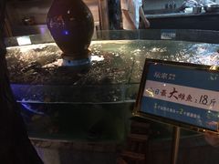 -坛宗剁椒鱼头(河西王府井店)