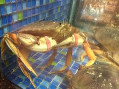 -乾隆美食·本帮菜(黄河路店)