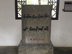 -上海醉白池公园