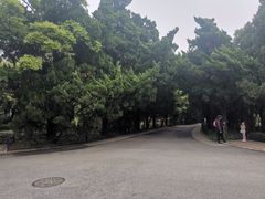 -八大关景区
