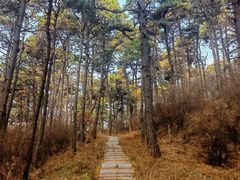 -棋盘山风景区