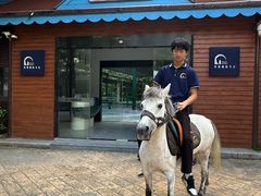 -灵玲国际马戏城